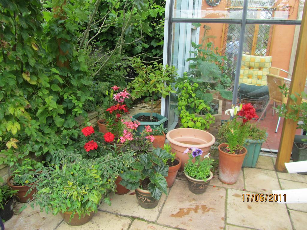 The Old Cider House Bed & Breakfast Nether Stowey ภายนอก รูปภาพ